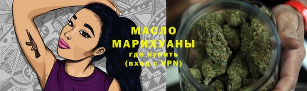 гидропоника Дмитриев