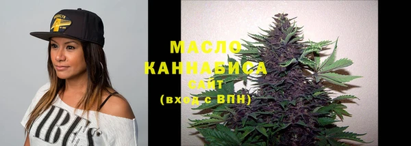 гидропоника Дмитриев
