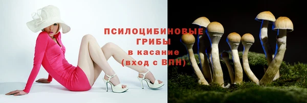 тгк Белая Холуница