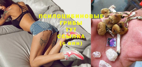 прущая мука Бежецк