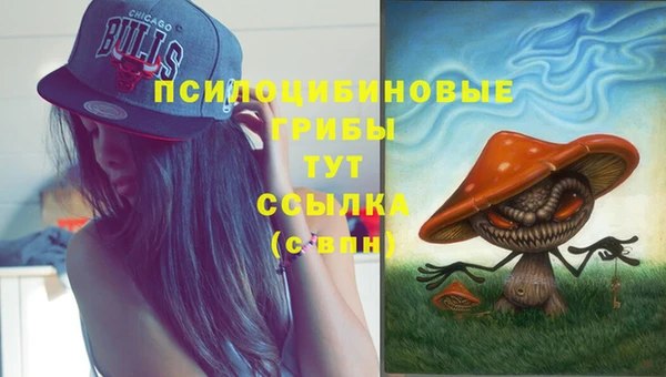 марки lsd Дмитров